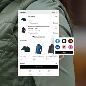 Mollie online payments